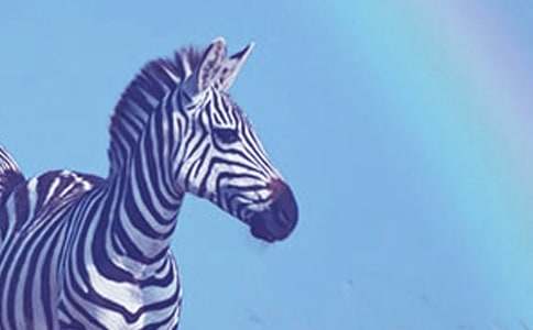 �����Y׌���R�����h��