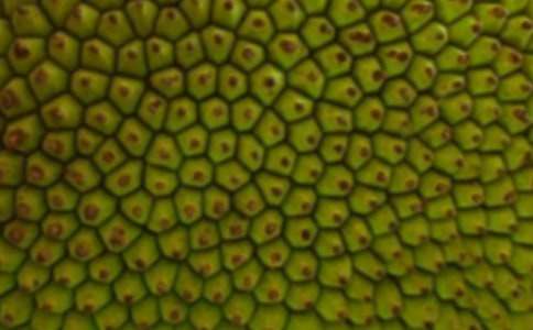 ���}�۵Ĺ�Ч�c����