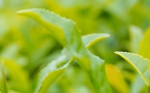 �P(gu��n)�ڲ��~�(xi��ng)Ŀ���̘I(y��)Ӌ(j��)����