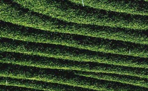 ���~�Ŀ�̘IӋ����