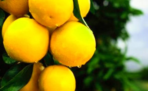 ����Ƥ�Ĺ�Ч�c����