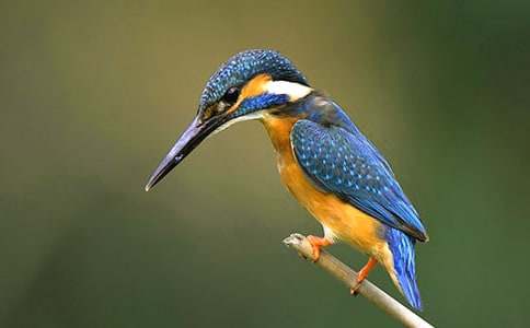 ���B�̰�ģ�壨���x15ƪ��