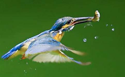 �����B���ă���̰�