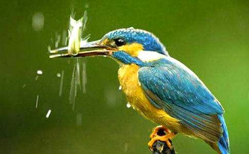 ���B�̰��R��8ƪ