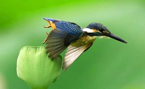 �P�ڴ��B�̰�ģ��R����ƪ