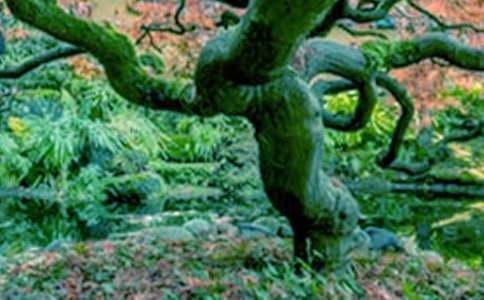 ��������С�W�����ģ�ͨ��16ƪ��