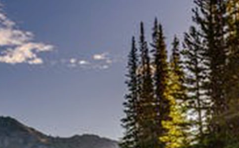 �茑�L�����V�Z