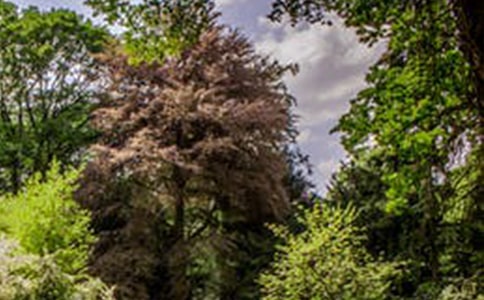 һ·�ϵ��L(f��ng)�����İ�ƪ