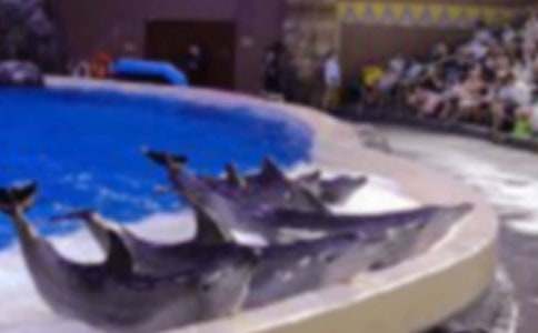 �����غ����u���x���