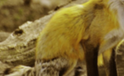 ��؂�N�˽̰�