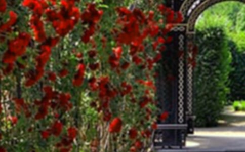 ���л��@����ӛ����300��