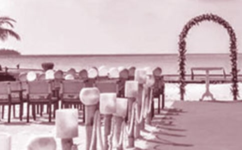 �����Ļ�Y˾�x�����~