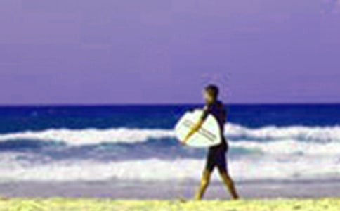 �W���������g������`�ĵ��w��