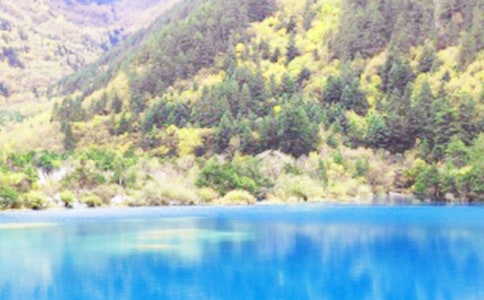 ��կ���L������