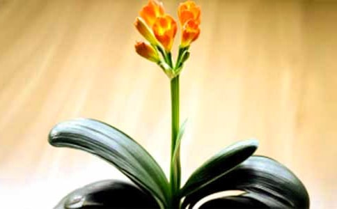 �����m�ļ��B�o