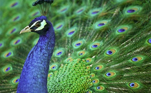 ��ȸ���������300�ּ��Ͼ�ƪ