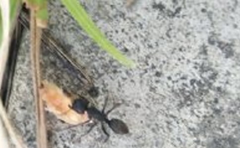 ��СΛρ���̰�