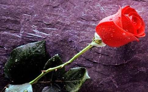 ҹ�L��õ���x���