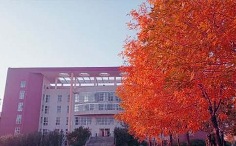 ���յ��S�Pɢ��