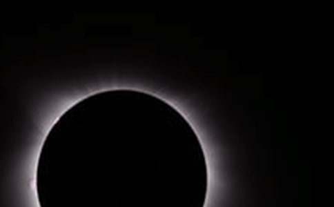 ��ʳС�W����