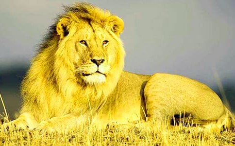 �{�����^���