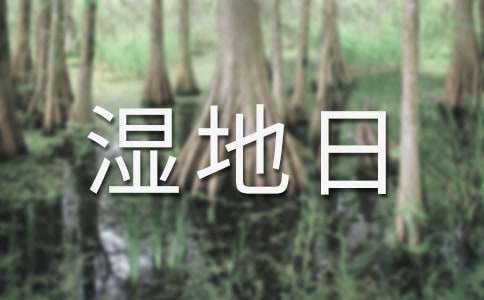 �������ջ�ӷ�����������