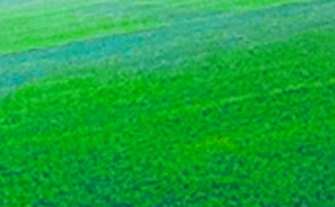 �l�g����Ұ����