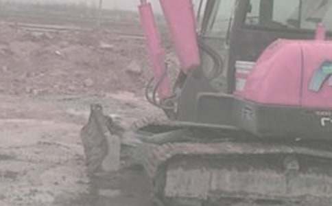 �����ھ�C�D׌��ͬͨ��