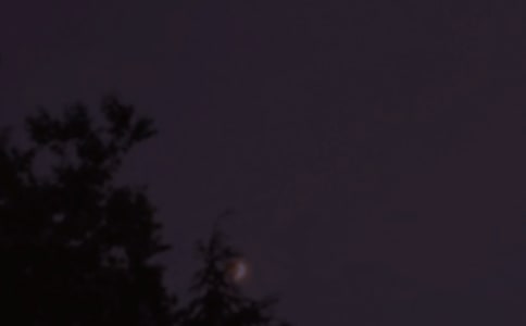 2026�곣������QQ��(w��n)���Z(y��)�\��54�l