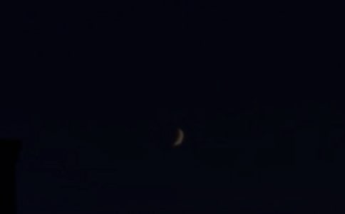 ����������(w��n)���Z(y��)�Z(y��)䛼���55��