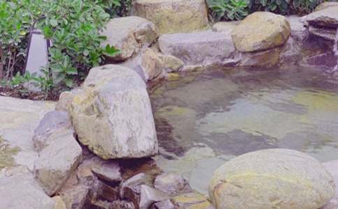 �ݜ�Ȫ��Ҫ��ʲô�|��