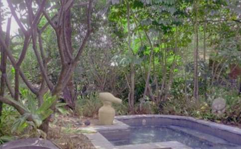 �ݜ�Ȫ��(y��ng)ע������(xi��ng)