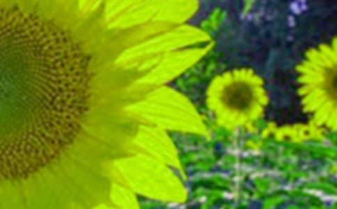 ���տ���꠵��x�����ô��