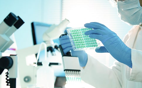 �������о���(b��o)��15ƪ(��(y��u)�x)