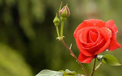 �¼���(y��u)������