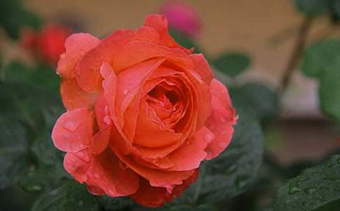 �Ҽҵ��¼�����7ƪ