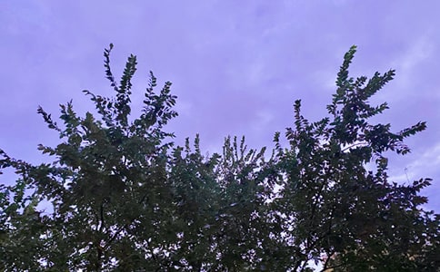 ���̵Ĝ�ܰ���簲�����Z41��