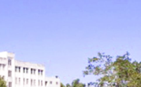 �簲΢������Ȧ�����Z