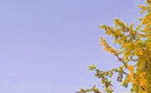 �؄e��Ĭ�簲�����Z190��