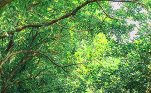 �P�������簲���ԣ����x190�䣩