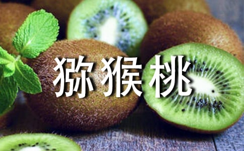 �J���ҵ���������