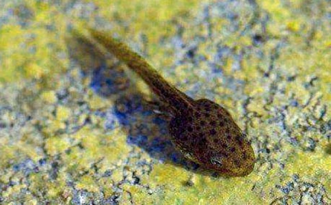 С����ҋ����̌W����