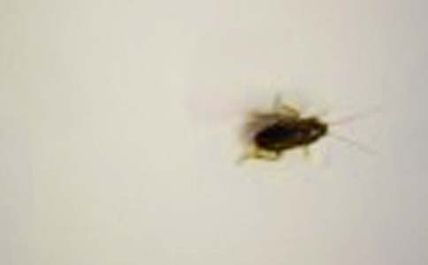 �����С�W����