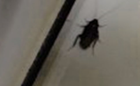 ׽�������