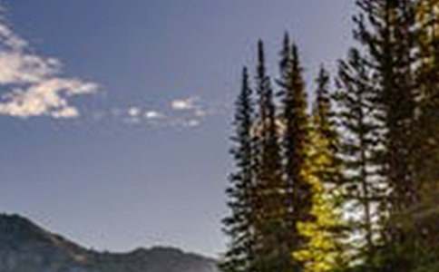 �茑��Ȼ�L��������