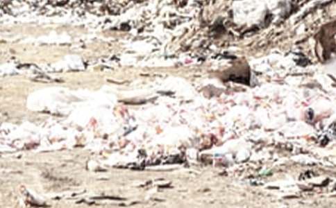 �����ӵ�������(ji��n)��(b��o)�؂�15ƪ