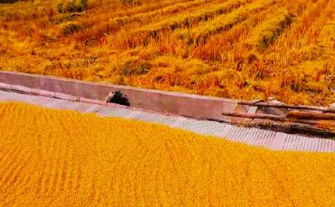 ����(y��u)�㣩�l(xi��ng)�(zh��n)���պ���