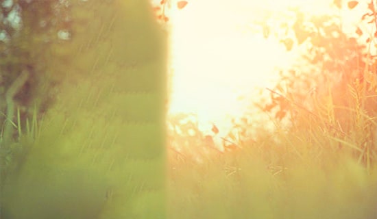 ����Ψ����(l��)־���Z�49��